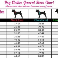 Blue Dog Jeans Size Chart