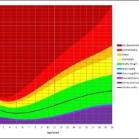 Bmi Chart By Age And Gender