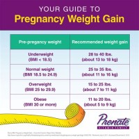 Bmi Chart During Pregnancy