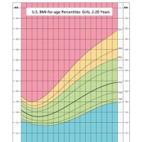 Bmi Chart For 13 Year Old Female