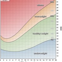 Bmi Chart For Age 16