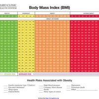 Bmi Chart For Both Male And Female