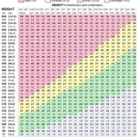 Bmi Chart For Elderly Woman