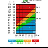 Bmi Chart For Male And Female In Kg