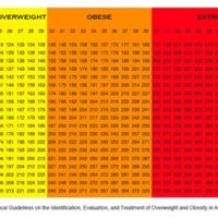 Bmi Chart For Morbidly Obese