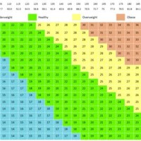 Bmi Chart For Singapore