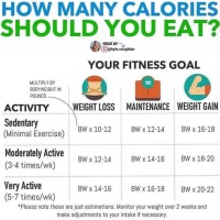 Bmi Chart How Many Calories To Lose Weight