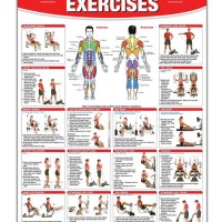 Body Gym Exercise Chart