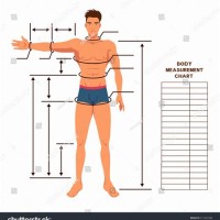 Body Measurement Chart Male Fitness