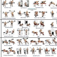 Bodybuilding Workout Chart At Home