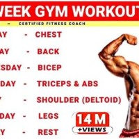 Bodybuilding Workout Chart Day Wise