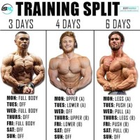 Bodybuilding Workout Chart Images