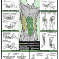 Bodybuilding Workout Chart