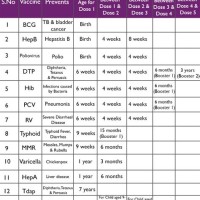 Born Baby Vaccination Chart In Tamil Nadu