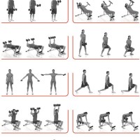 Bowflex Dumbbells Workout Chart