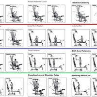 Bowflex Exercise Chart