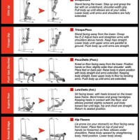 Bowflex Xtreme Exercise Chart