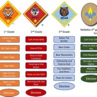 Boy Scout Advancement Chart