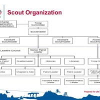 Boy Scout Troop Anization Chart Template