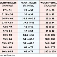 Boys Growth Spurt Chart