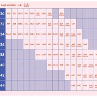 Bra And Size Chart