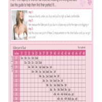 Bra Bust Size Chart