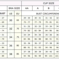 Bra Size Chart Canada