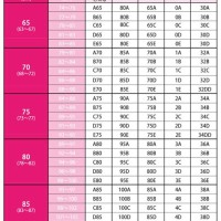 Bra Size Chart In Cm