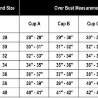 Bra Size Chart In Inches India