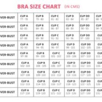 Bra Size Chart Inches To Cm