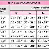 Bra Size Chart Inches Us 5 8