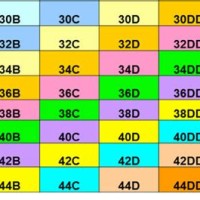 Bra Size Chart Sister Sizes