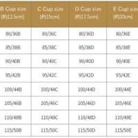 Bra Size Chart Uk To China