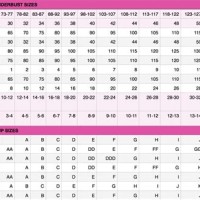 Bra Size Conversion Chart European