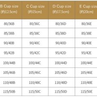 Bra Size Conversion Chart Us To China - Best Picture Of Chart Anyimage.Org