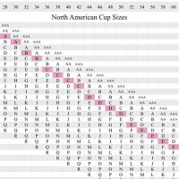 Bra Sizes Chart Us