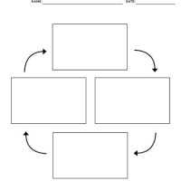 Brainpop Graphic Anizer Flow Chart S