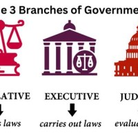 Branches Of Ity Chart