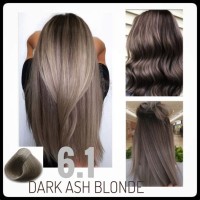 Bremod Hair Color Chart Dark Ash Blonde