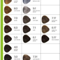 Brown Hair Color Chart Bremod