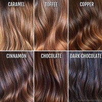 Brown Hair Color Chart Highlights