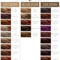 Brown Hair Dye Colours Chart