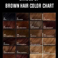 Brown Hair Dye Shades Chart