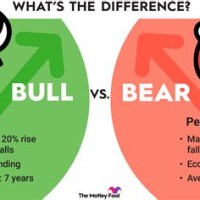 Bull Vs Bear Market Chart