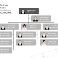 Business Anizational Chart Template