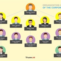 Business Structure Chart Template