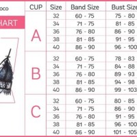 C Bra Size Chart