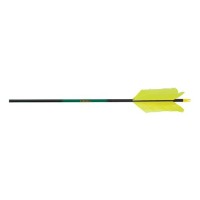 Cabela 8217 S Stalker Extreme Arrows Chart