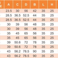 Cable Gland Size Chart