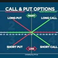 Calls And Puts Chart